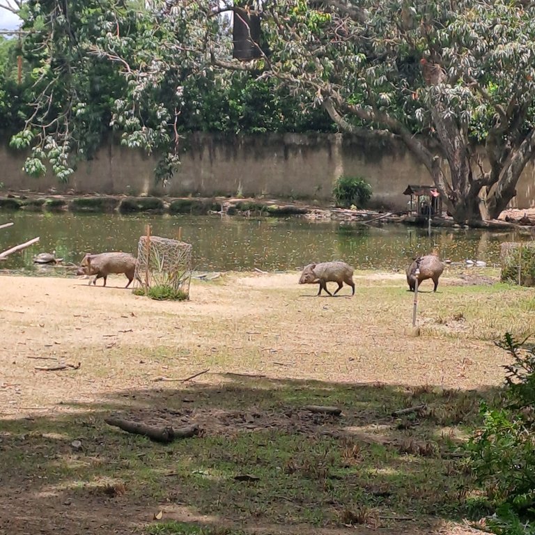 20250524_122317.jpg