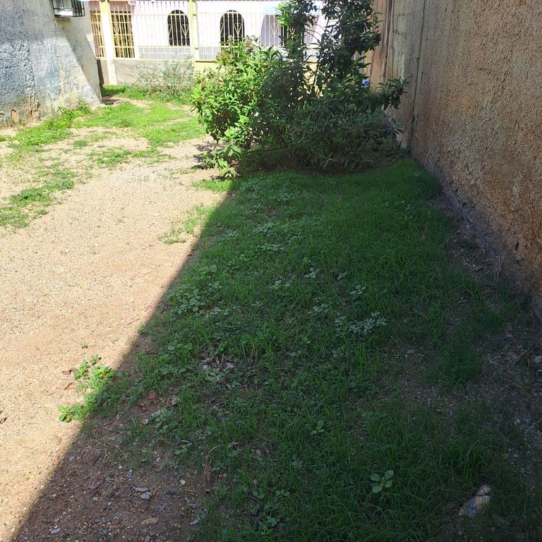 1000806384.jpg