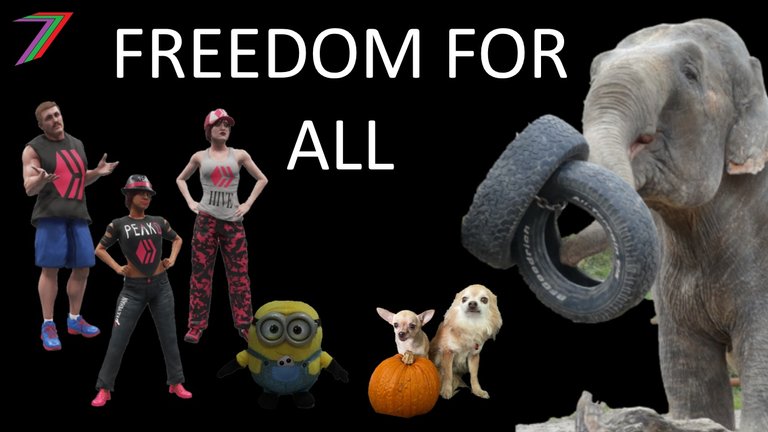 Animals_FREEDOM_ALL.jpg