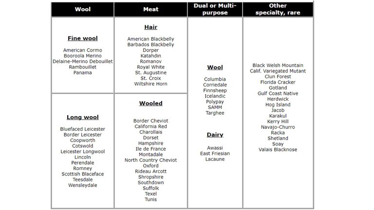 Manipulated_Sheep_Types.jpg