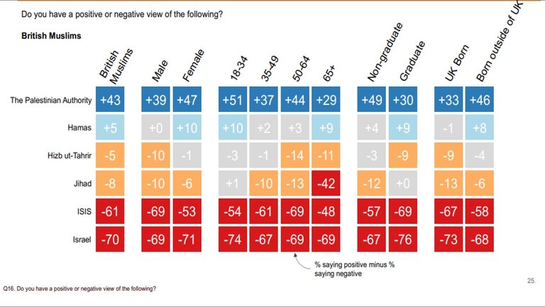UK_BRINK_Muslims_HAMAS_OTHERS.jpg