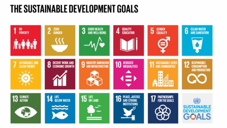 Stakeholder_Capitalism_SDG_Goals.jpg