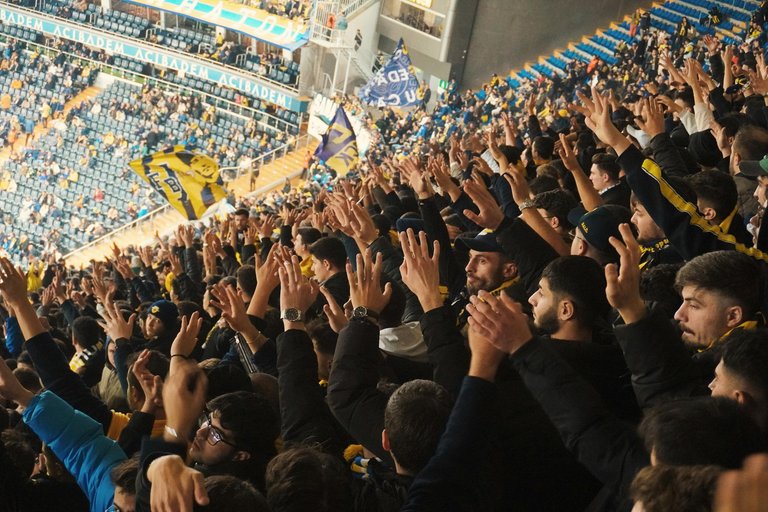 free-photo-of-cheering-crowd-at-a-soccer-match-in-stadium.jpeg