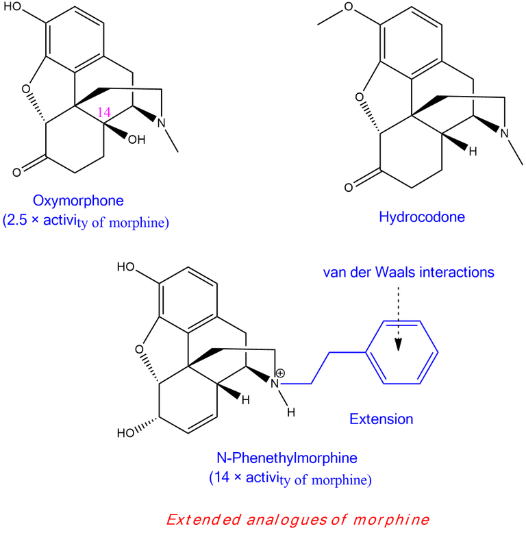 Morphione 1.png