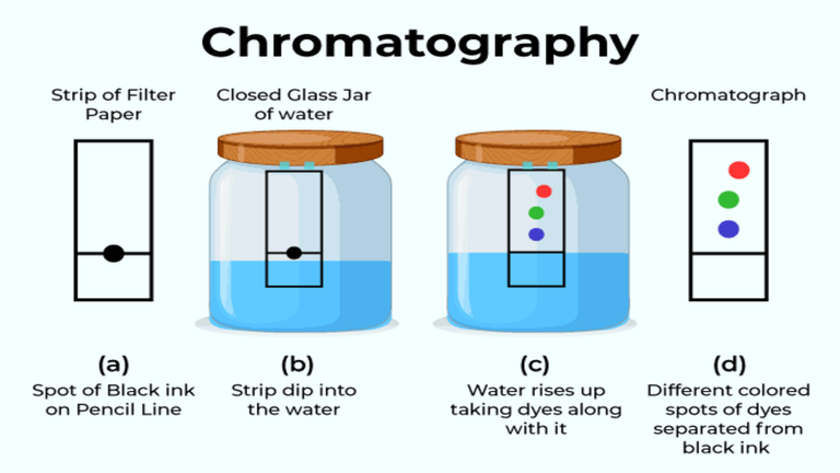 Chromatography-1.png