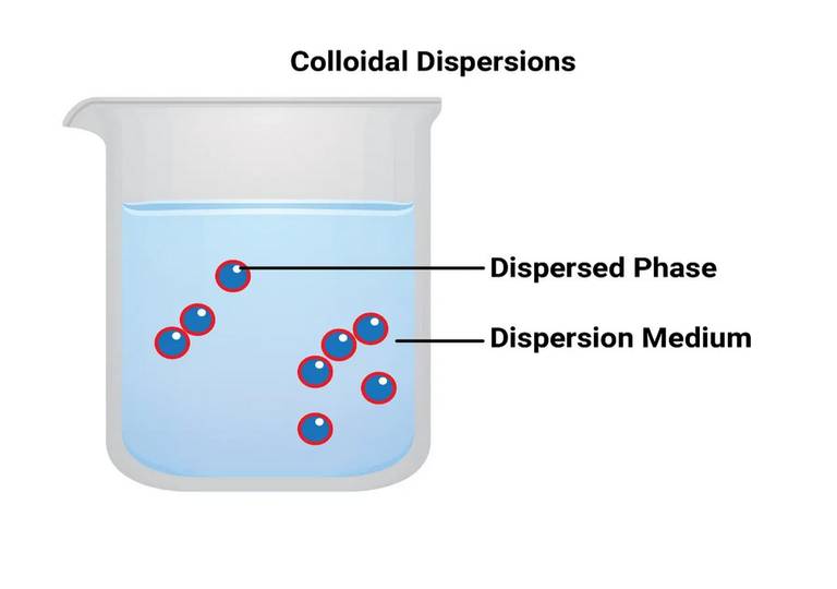 colloid phase.png