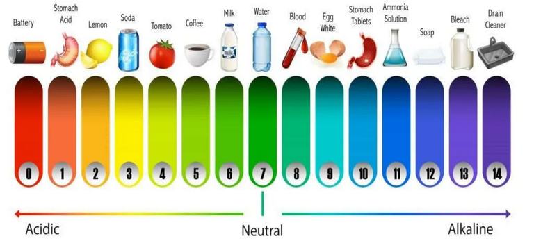 ph scale.png