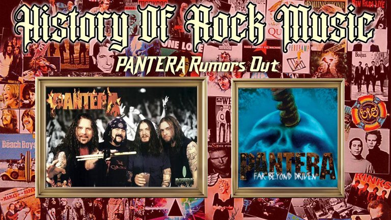 pantera..jpg