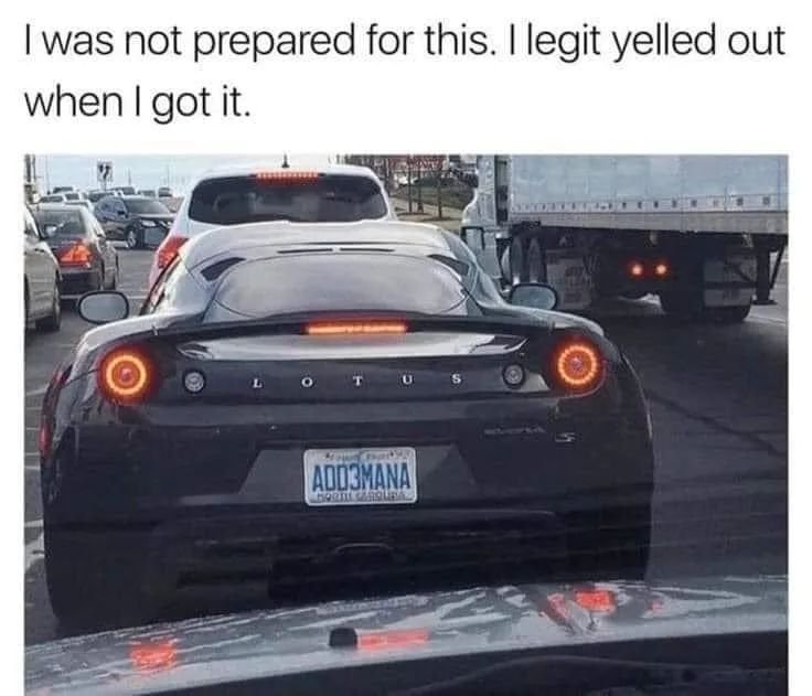 FB_IMG_1660744391200.jpg