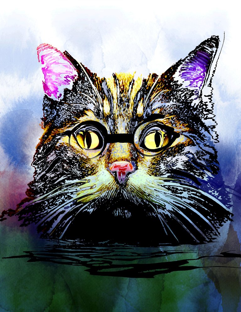 Untitled cat again-1.png