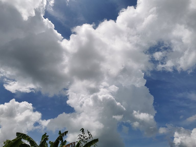 JvFFVmatwWHRfvmtd53nmEJ94xpKydwmbSC5H5svBACH7yP3fmP64viqGAHbpPvtjXcNH9ypvkn6tNnY4H7GfKSSGYdAQmUgvULKMFishkYDVMHxm5FZCufe86KJTv7Y7ccHQLU57t.jpeg