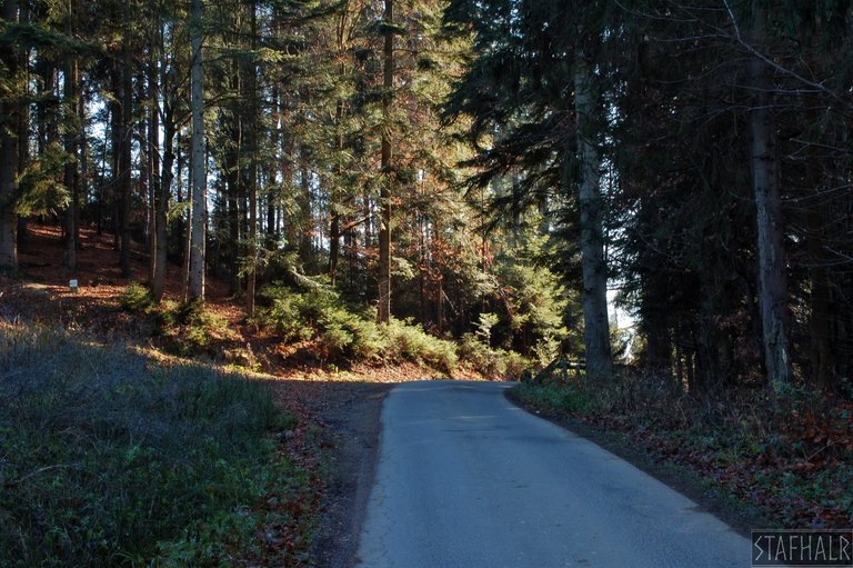 The road from the chapel towards Tarliczne