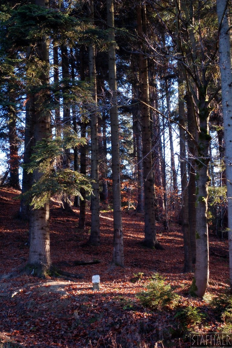 The area around the chapel