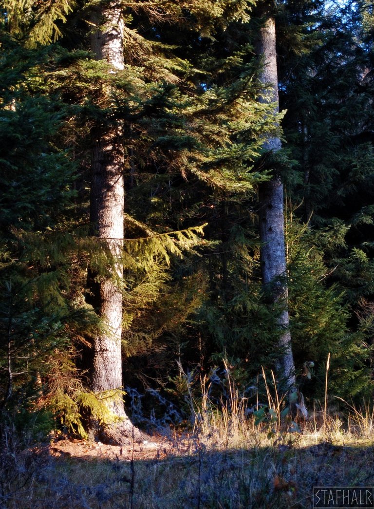 The area around the chapel