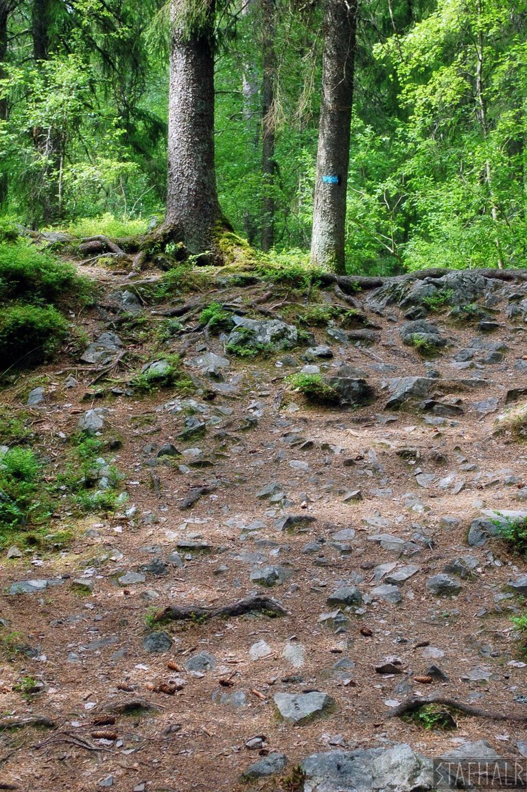DSC_0055.jpg