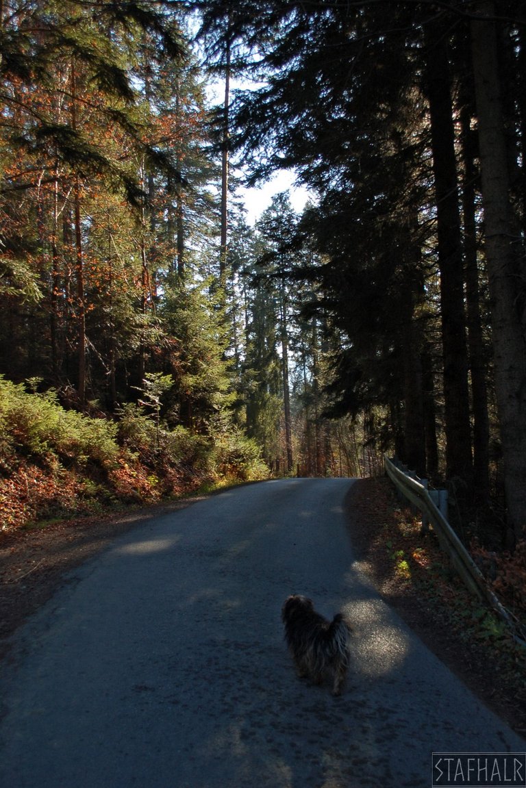 The road from the chapel towards Tarliczne