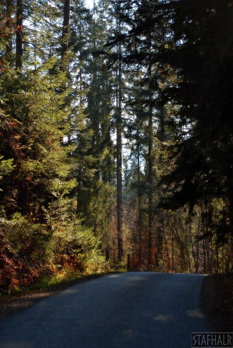 The road from the chapel towards Tarliczne