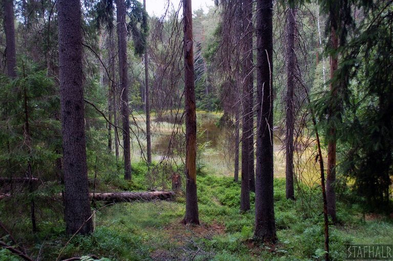 DSC_0094.jpg