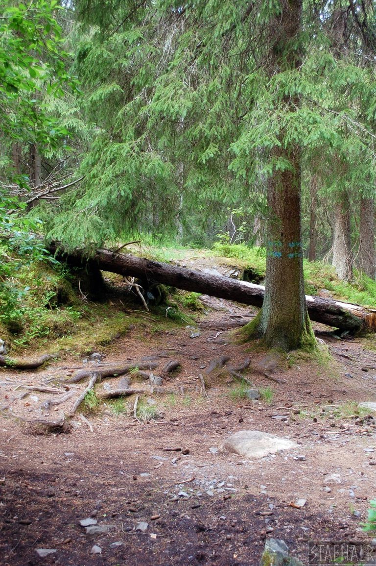 DSC_0039.jpg