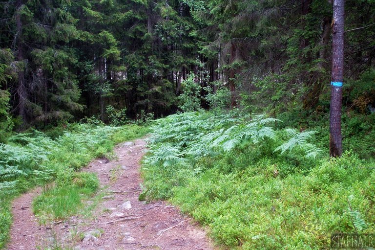 DSC_0097.jpg