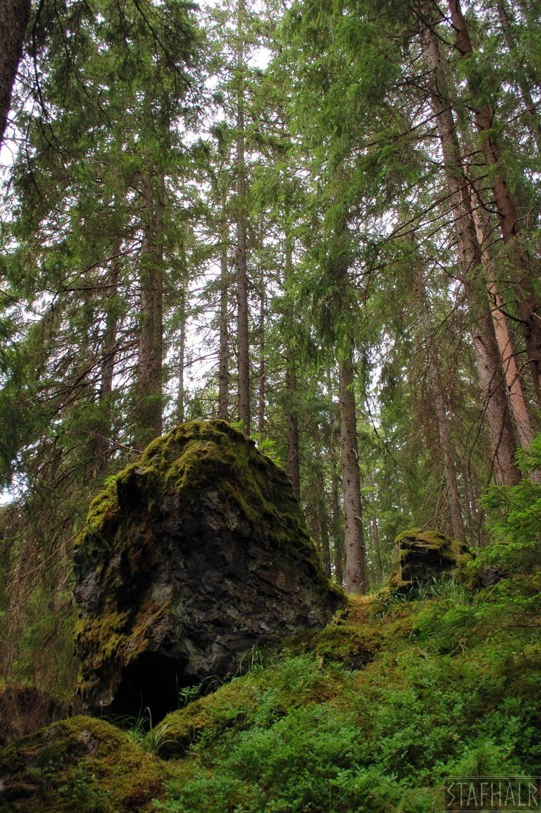 DSC_0067.jpg