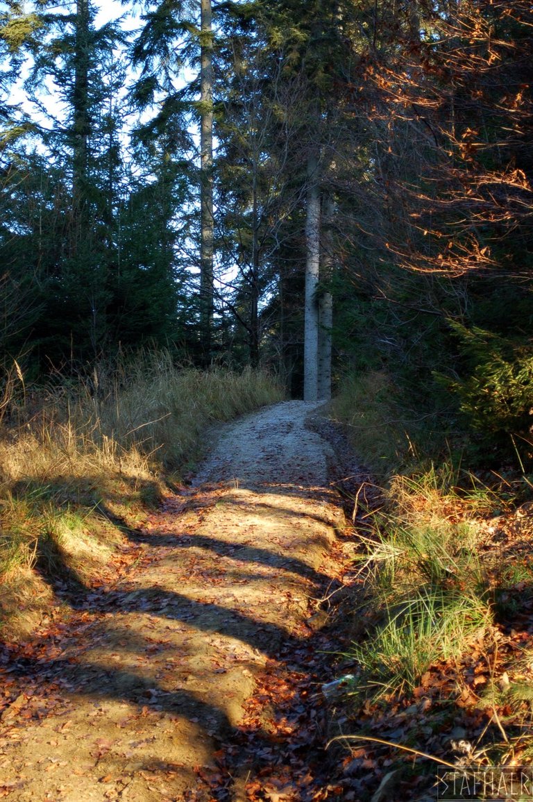 The area around the chapel