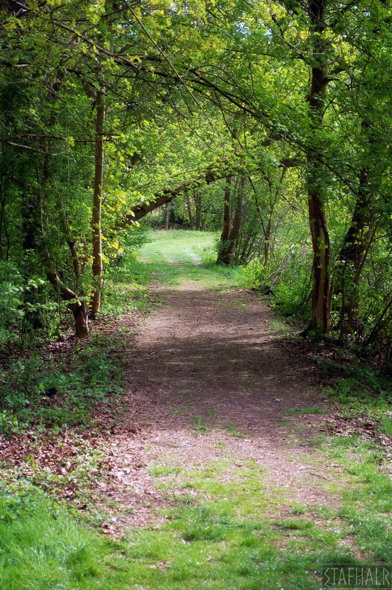DSC_0521.jpg