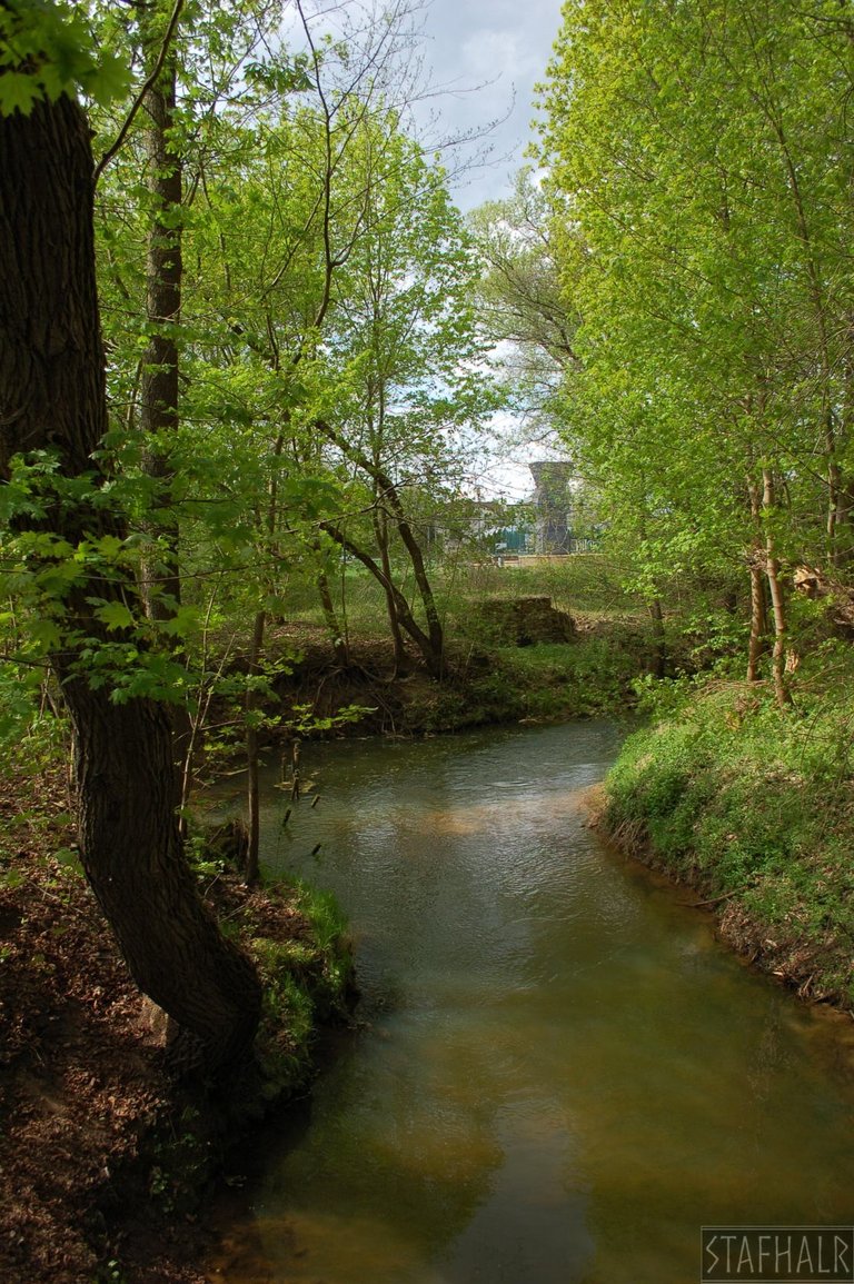 DSC_0518.jpg