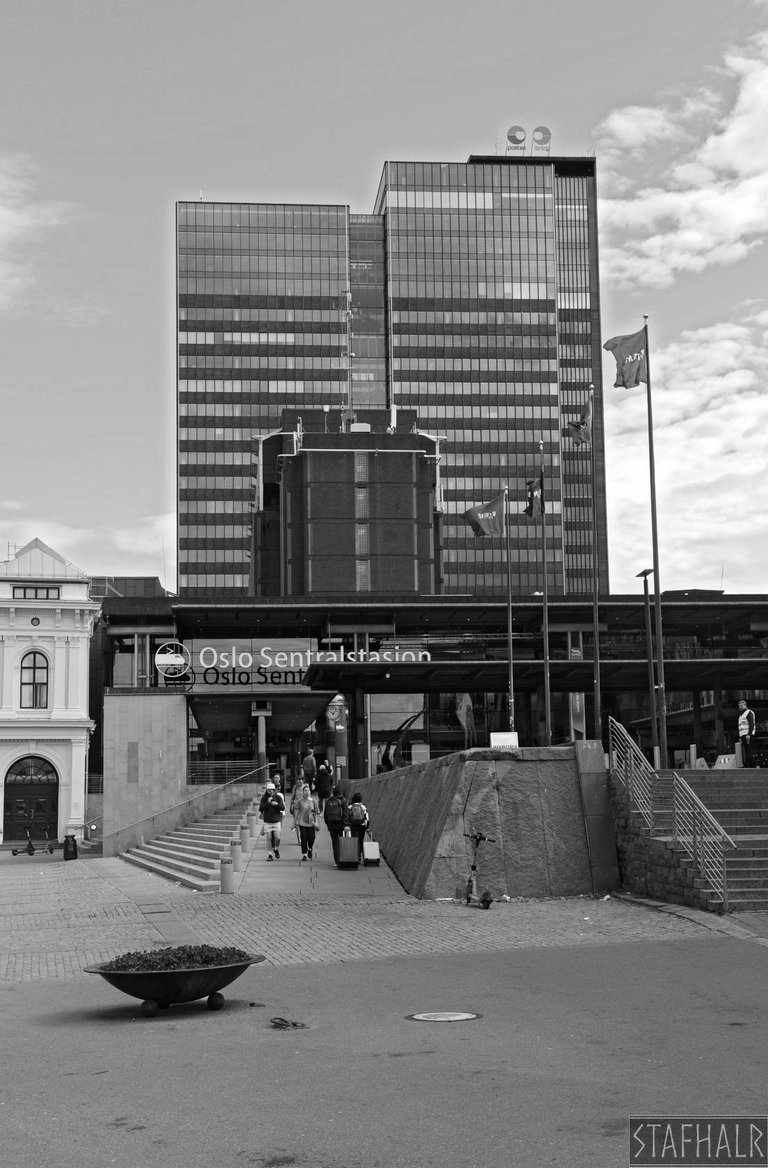 DSC_7323.jpg
