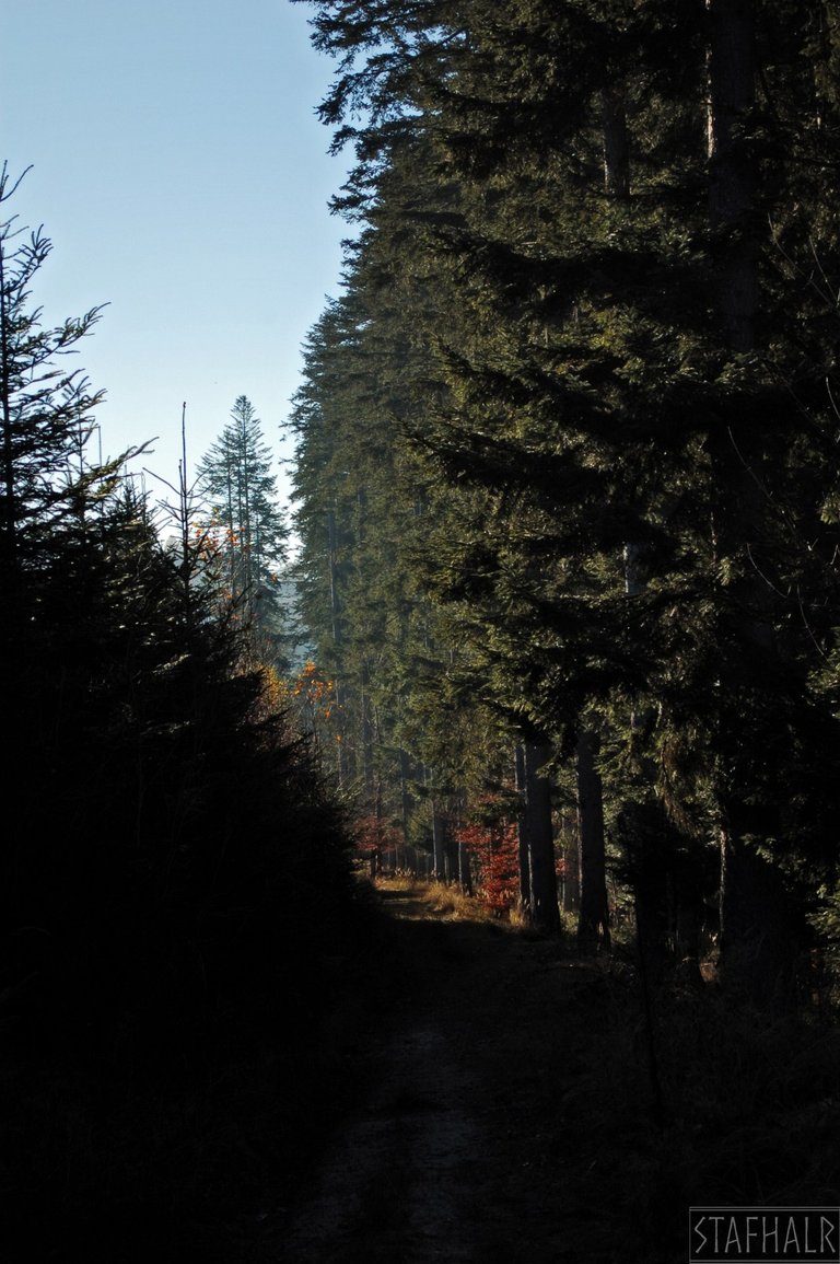 The area around the chapel - the so-called "horse road"