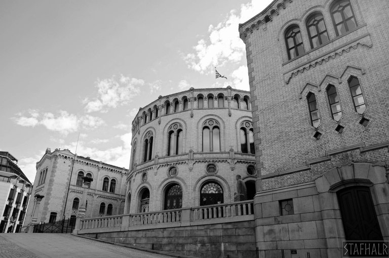 DSC_7387.jpg