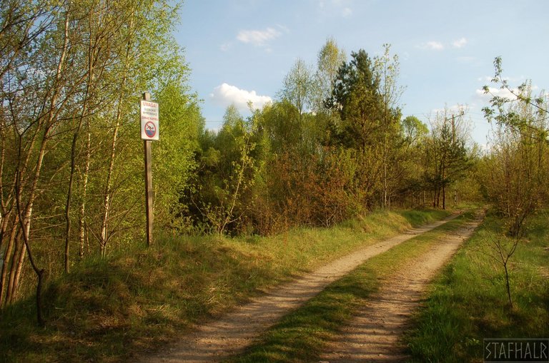 DSC_0597.jpg
