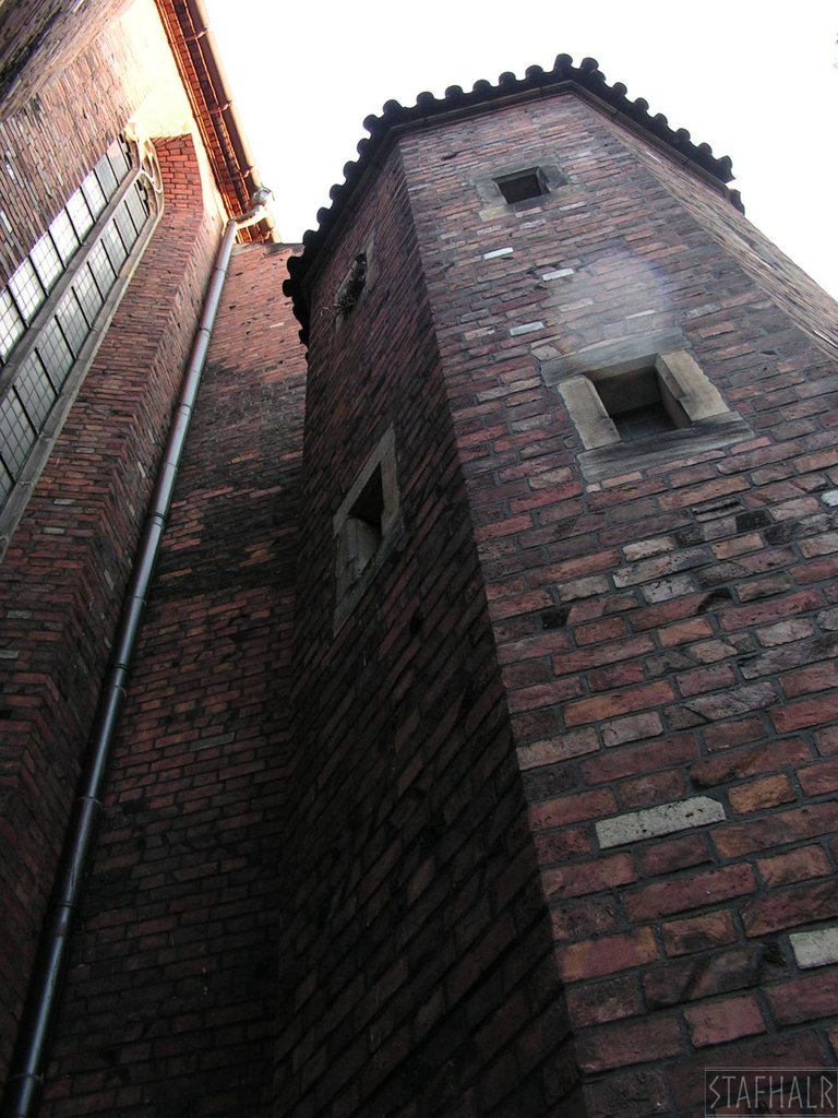 PICT0099.JPG