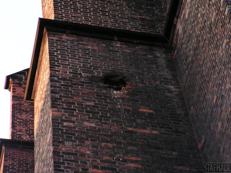 PICT0110.JPG