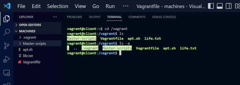 Vagrantfile - machines - Visual Studio Code 12_3_2022 11_07_45 PM.png