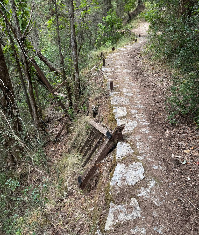 IMG_1553.jpg