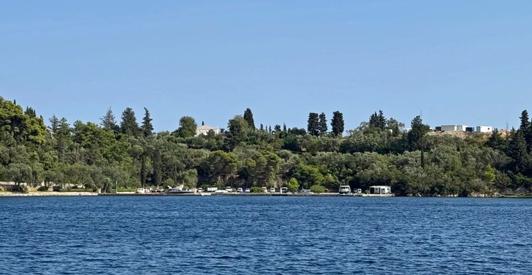 IMG_1517.jpg