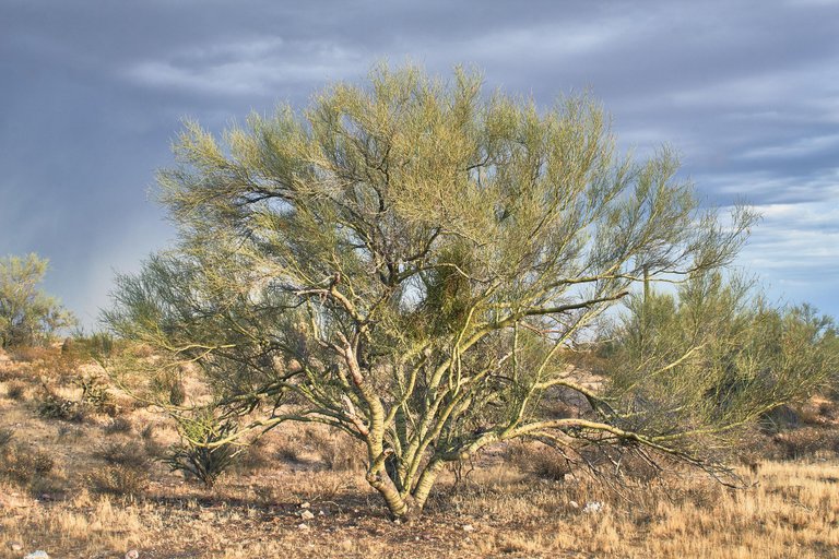 Lake Pleasant Sunset068.jpg