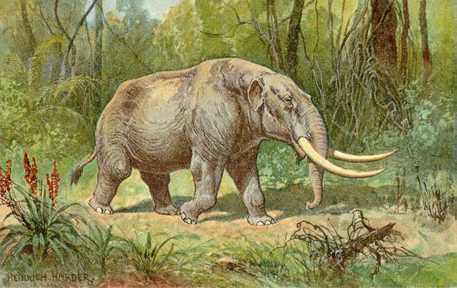 640px-Mastodon_color.jpg