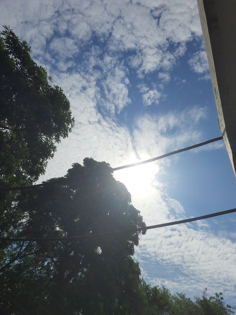 20230908_093346.jpg