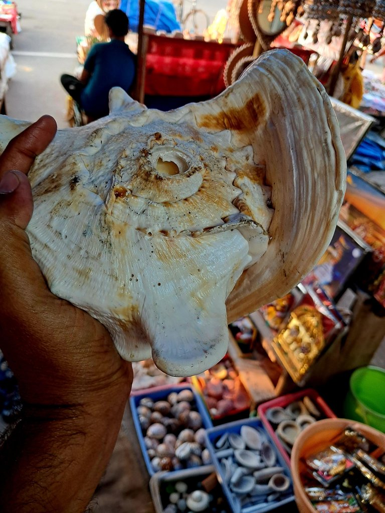 20231029_161435.jpg
