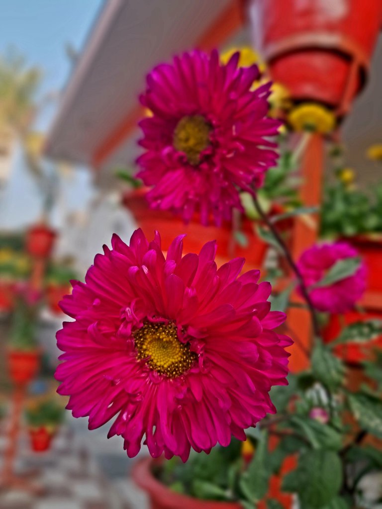 1000126553.jpg