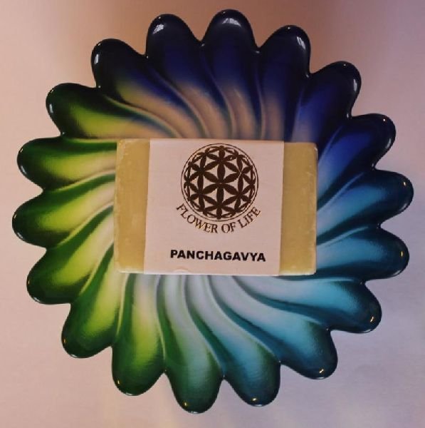 ayurvedic-panchagavya-soap-1527760361-3927717.jpeg