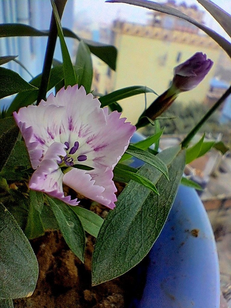 20240119_075942.jpg