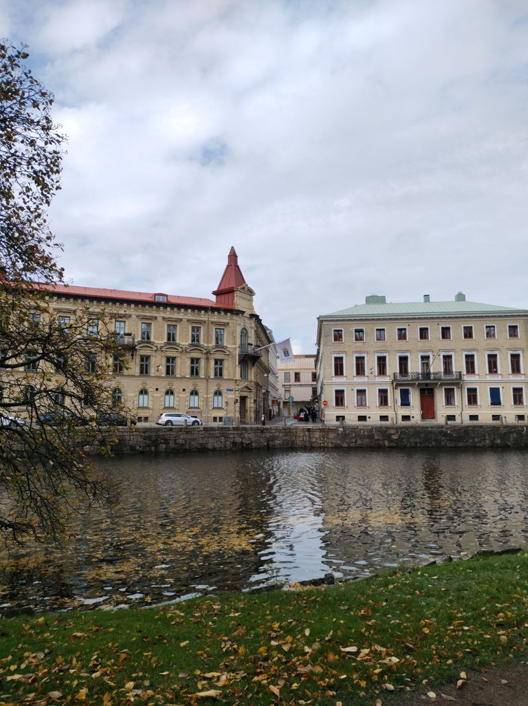 IMG_20221016_115917694.jpg