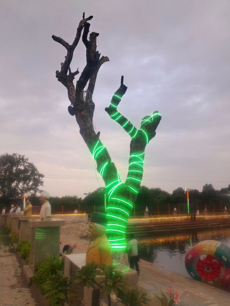 1000167253.jpg