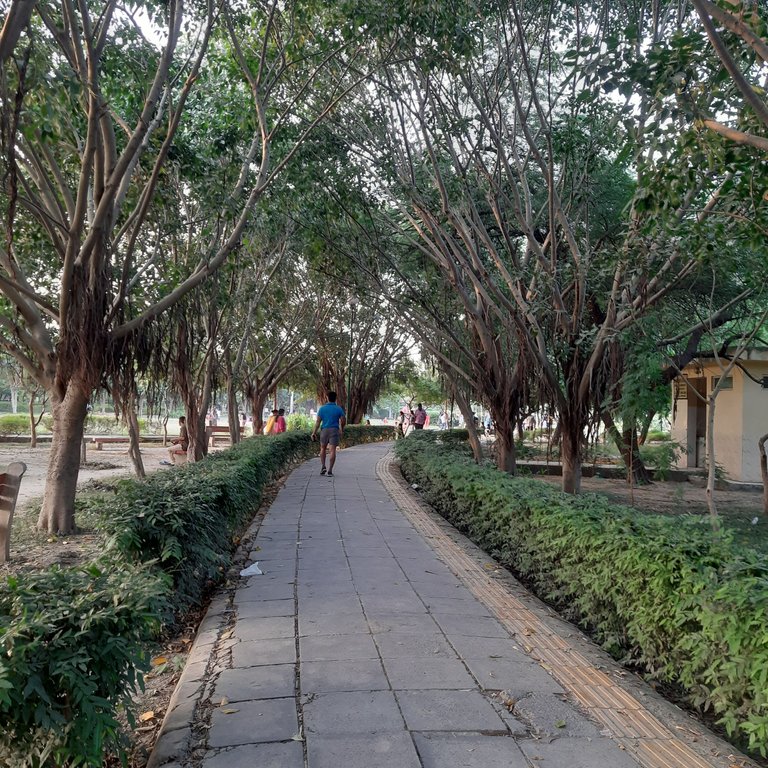 20231009_172055.jpg