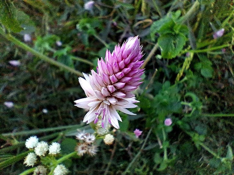 20231120_165934.jpg