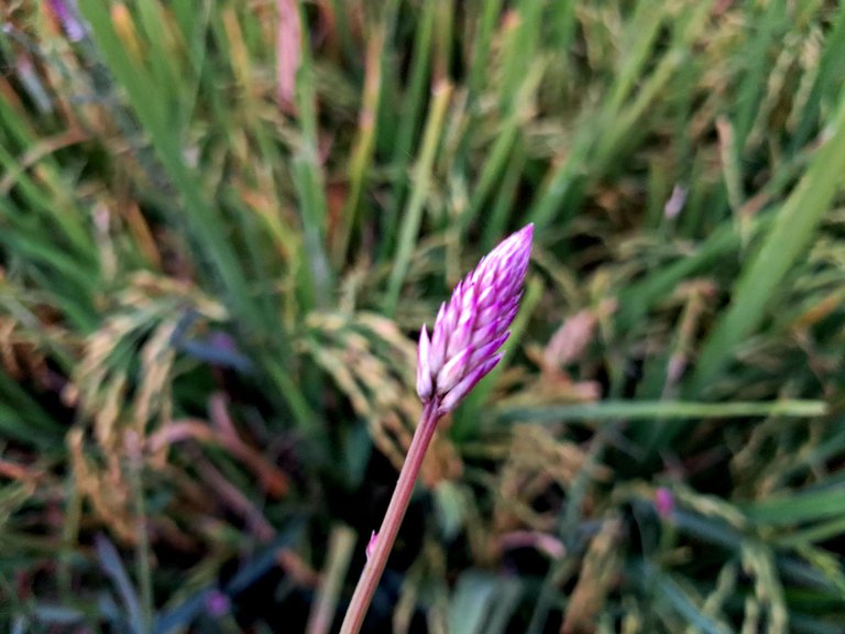 20231120_165527.jpg