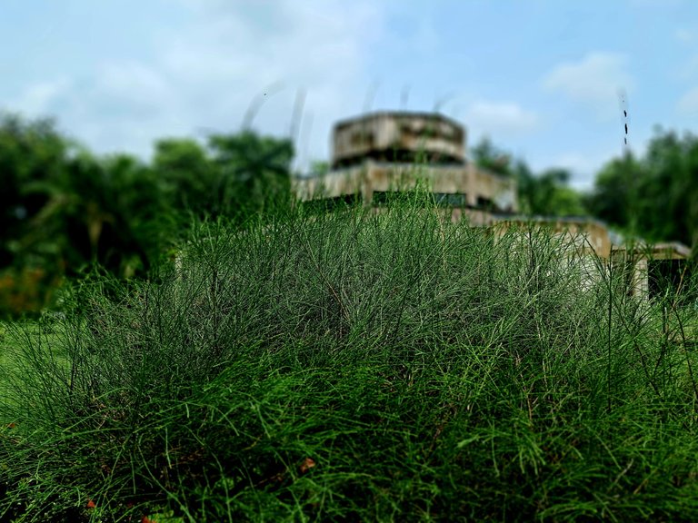 20250727_122339.jpg